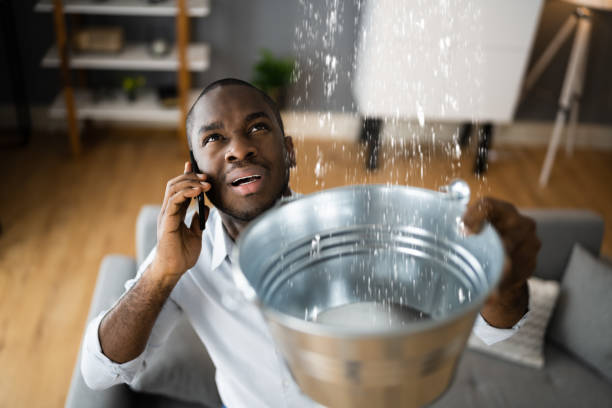 Best Water damage restoration near me  in East Quincy, CA