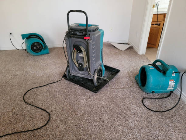 Water damage restoration mold remediation in East Quincy, CA