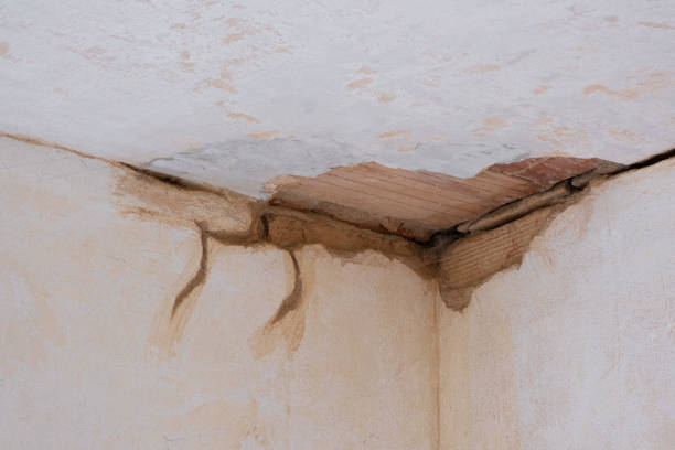 Professional Water damage restoration in East Quincy, CA