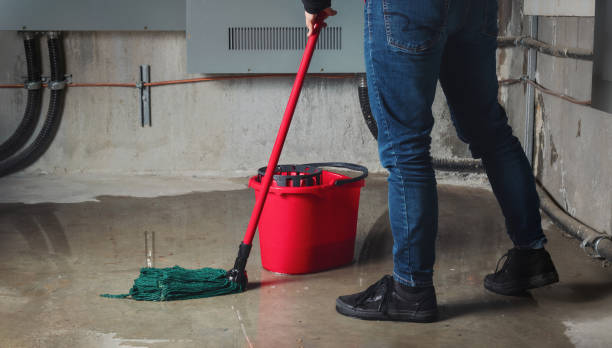 Best Water damage restoration specialists  in East Quincy, CA
