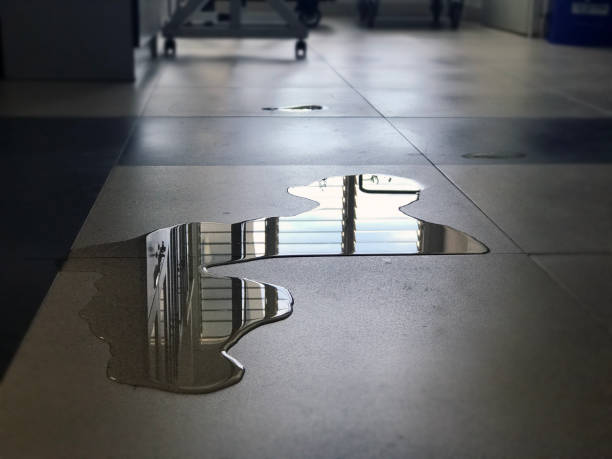 Water damage restoration process in East Quincy, CA