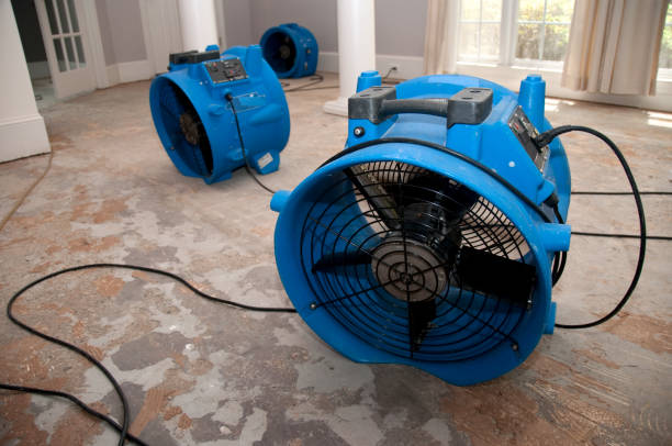 Best 24-hour water damage restoration  in East Quincy, CA