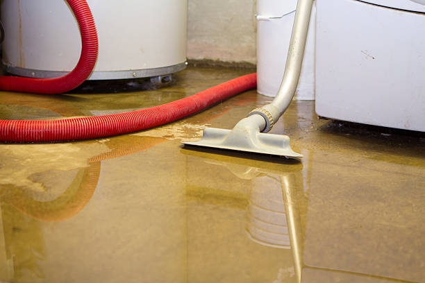 Best Residential water damage restoration  in East Quincy, CA